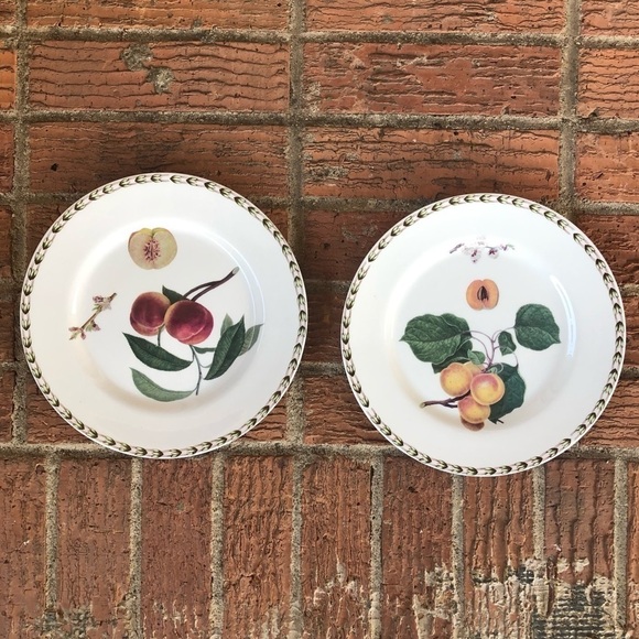 2 Queens Fine China Royal Horticulture Society Hookers Fruit Dinner Plates